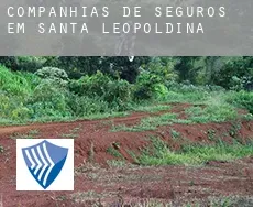 Companhias de seguros em  Santa Leopoldina