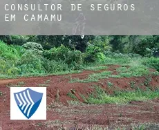 Consultor de seguros em  Camamu