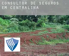 Consultor de seguros em  Centralina