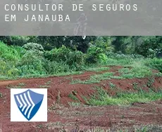 Consultor de seguros em  Janaúba