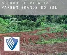 Seguro de vida em  Vargem Grande do Sul