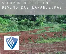Seguros médico em  Divino das Laranjeiras