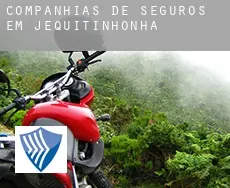 Companhias de seguros em  Jequitinhonha