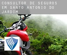 Consultor de seguros em  Santo Antônio do Jardim