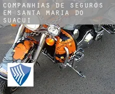 Companhias de seguros em  Santa Maria do Suaçuí