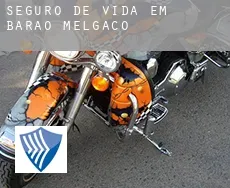 Seguro de vida em  Barão de Melgaço