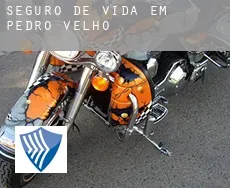 Seguro de vida em  Pedro Velho