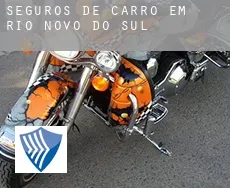 Seguros de carro em  Rio Novo do Sul