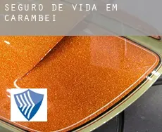 Seguro de vida em  Carambeí