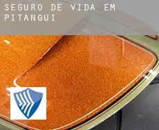 Seguro de vida em  Pitangui