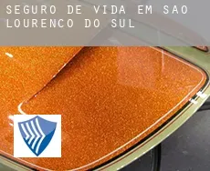 Seguro de vida em São Lourenço do Sul
