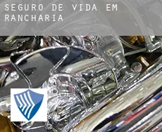 Seguro de vida em  Rancharia