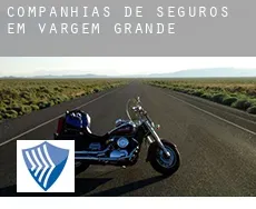 Companhias de seguros em  Vargem Grande