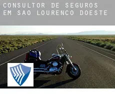 Consultor de seguros em  São Lourenço dOeste
