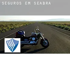 Seguros em  Seabra