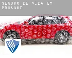 Seguro de vida em  Brusque