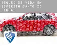 Seguro de vida em Espírito Santo do Pinhal