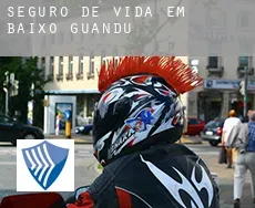 Seguro de vida em  Baixo Guandu
