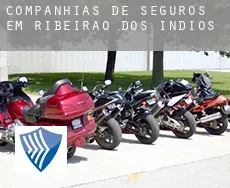 Companhias de seguros em Ribeirão dos Índios
