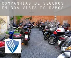 Companhias de seguros em  Boa Vista do Ramos