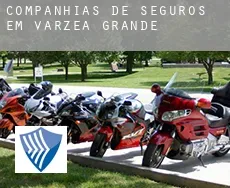 Companhias de seguros em  Várzea Grande