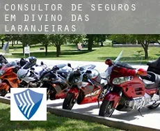 Consultor de seguros em  Divino das Laranjeiras