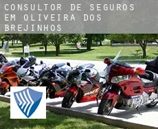 Consultor de seguros em  Oliveira dos Brejinhos
