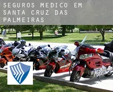 Seguros médico em  Santa Cruz das Palmeiras