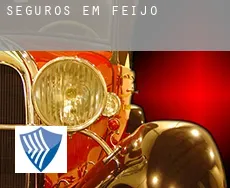 Seguros em  Feijó