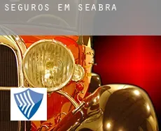 Seguros em  Seabra