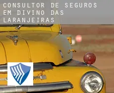 Consultor de seguros em  Divino das Laranjeiras