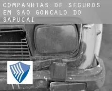 Companhias de seguros em  São Gonçalo do Sapucaí