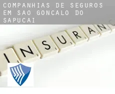 Companhias de seguros em  São Gonçalo do Sapucaí