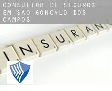 Consultor de seguros em  São Gonçalo dos Campos