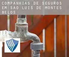 Companhias de seguros em  São Luís de Montes Belos