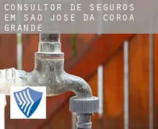 Consultor de seguros em  São José da Coroa Grande