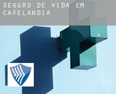 Seguro de vida em  Cafelândia