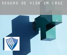 Seguro de vida em  Cruz