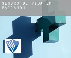 Seguro de vida em  Paiçandu