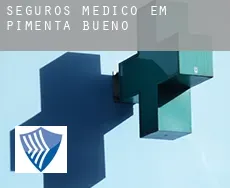 Seguros médico em  Pimenta Bueno