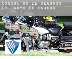 Consultor de seguros em  Carmo do Cajuru