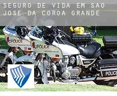 Seguro de vida em  São José da Coroa Grande