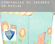 Companhias de seguros em  Muriaé