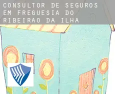 Consultor de seguros em  Freguesia do Ribeirao da Ilha