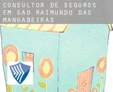 Consultor de seguros em  São Raimundo das Mangabeiras