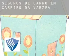 Seguros de carro em  Careiro da Várzea