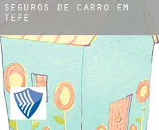 Seguros de carro em  Tefé