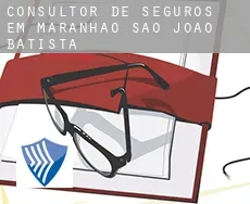 Consultor de seguros em  São João Batista (Maranhão)