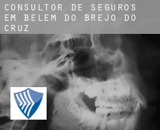 Consultor de seguros em  Belém do Brejo do Cruz