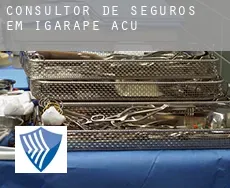 Consultor de seguros em  Igarapé Açu